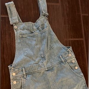 Free people Ziggy distressed overalls
